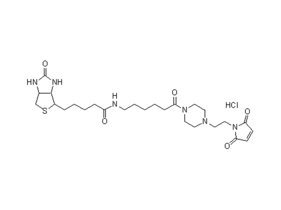 Biotin-PEAC5-maleimide试剂货号：B299 CAS号：374592-98-0