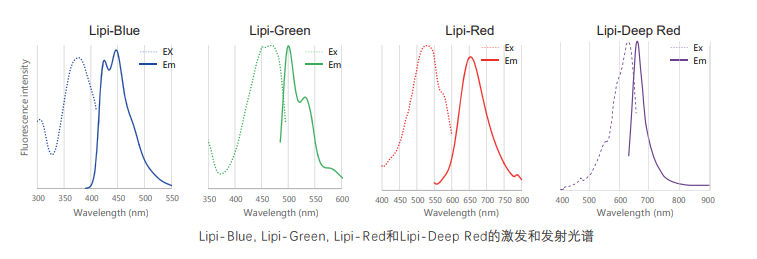 Lipi-Deep Red试剂货号：LD04 脂滴检测（深红色）