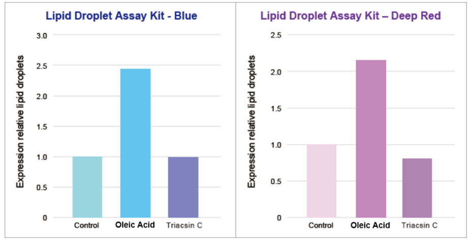 Lipid Droplet Assay Kit-Blue试剂货号：LD05 脂滴荧光检测（蓝色）