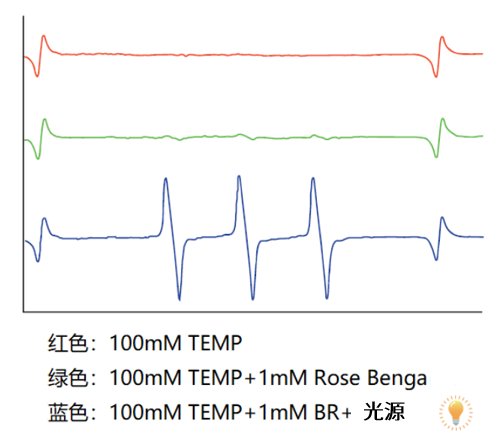 单线态氧检测（EPR）—TEMP货号：T511