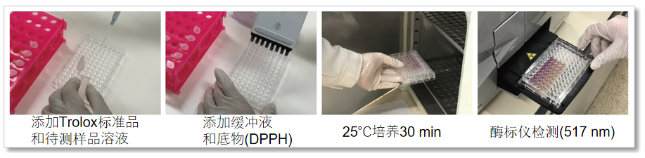 抗氧化能力检测试剂盒 (DPPH法 )货号：D678 DPPH Antioxidant Assay Kit
