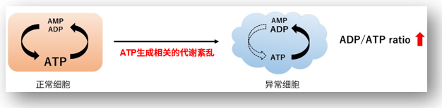 ADP/ATP比率检测试剂盒—ADP/ATP Ratio Assay Kit-Luminescence货号：A552
