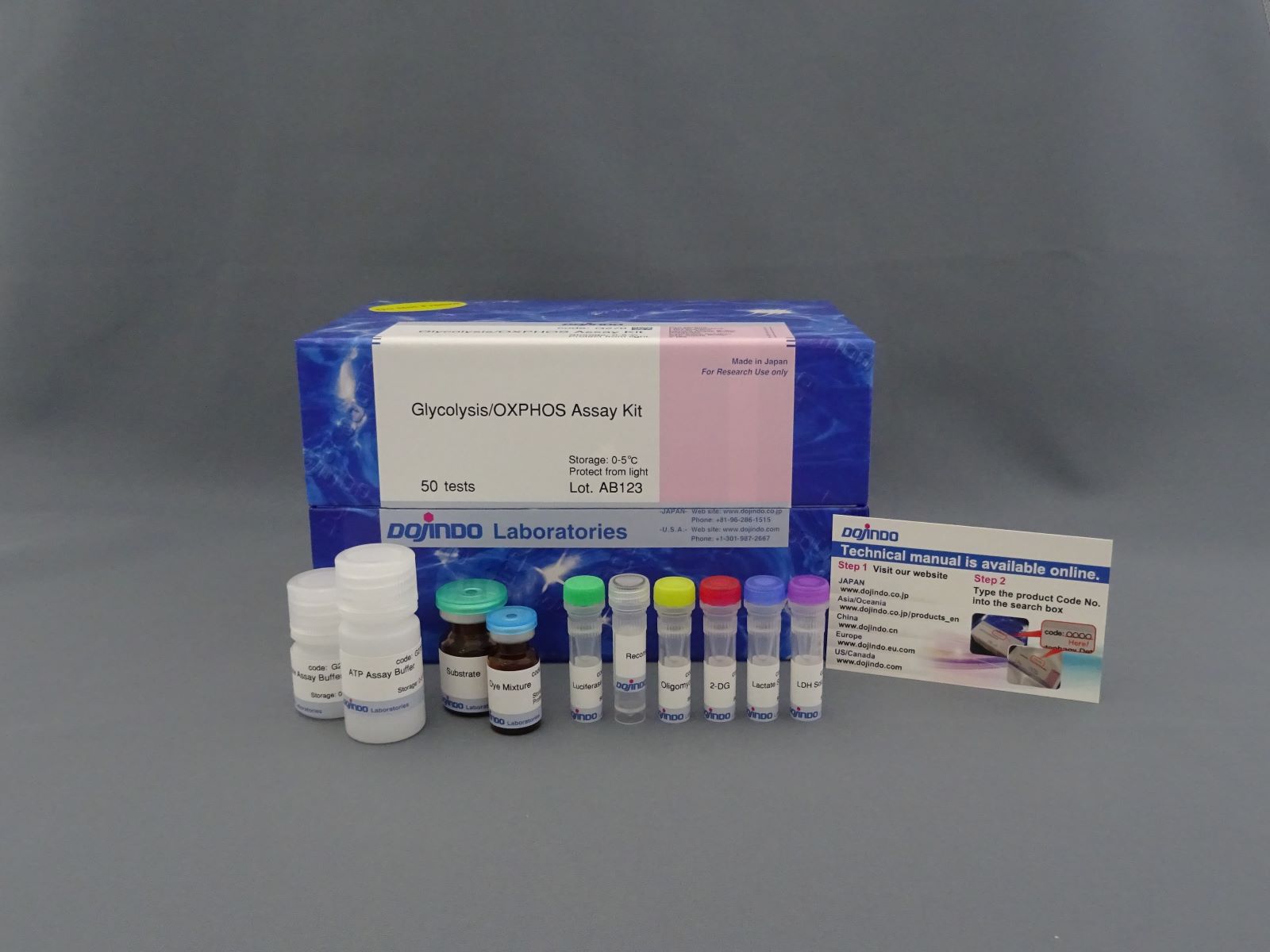 糖酵解/氧化磷酸化检测试剂盒—Glycolysis/OXPHOS Assay Kit货号：G270