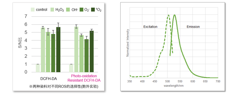 ROS Assay Kit -Photo-oxidation Resistant DCFH-DA-货号：R253耐光型活性氧(ROS)检测试剂盒