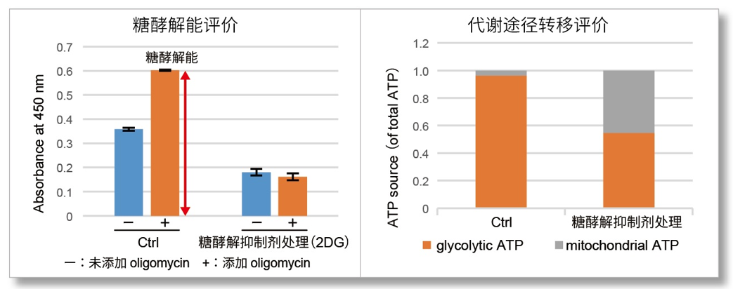 糖酵解/氧化磷酸化检测试剂盒—Glycolysis/OXPHOS Assay Kit货号：G270