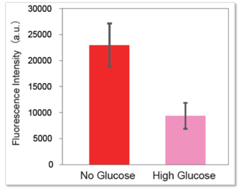 Glucose(葡萄糖)摄取能力检测试剂盒-Red货号：UP03