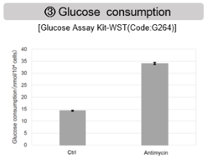 Oxygen Consumption Rate(OCR) Plate Assay Kit-氧消耗量检测试剂盒货号：E297