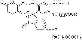 BCECF-AM试剂货号：B262 3&#8242;-O-Acetyl-2&#8242;,7&#8242;-bis(carboxyethyl)-4 or 5-carboxyfluorescein, diacetoxymethyl ester CAS号：117464-70-7