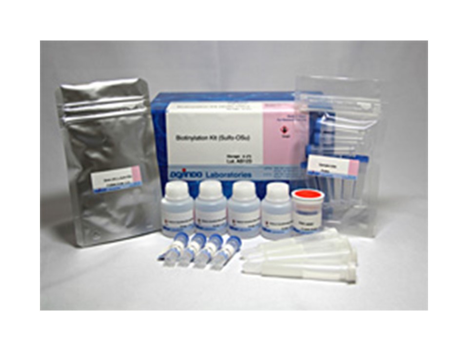 Biotinylation Kit (Sulfo-OSu)试剂货号：BK01 生物素标记抗体试剂